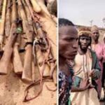 25 armed men allegedly from the North arrested while entering Oyo