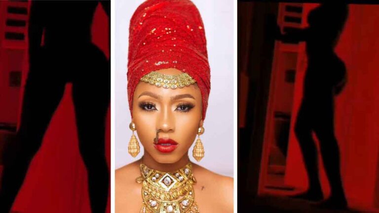 BBNaija’s Mercy Eke shares video of her Silhouette challenge