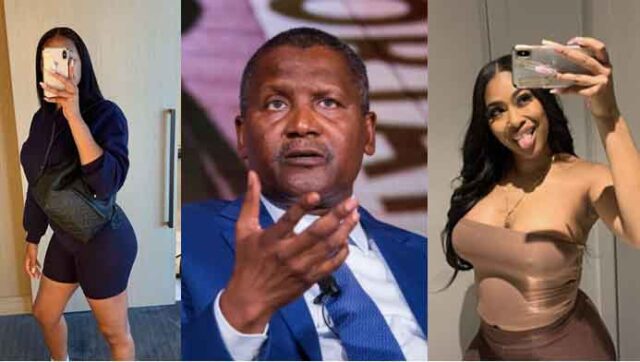 “ How my former girlfriend, Autumn Spike tried to extort $5 million from me – Dangote