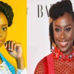 Igbo people can’t unite for presidency yet talk about Biafra – Chimamanda Adichie