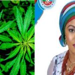 Lawmakers propose legalizing Marijuana cultivation, registration of traders in Nigeria