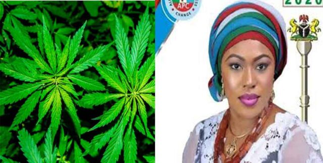 Lawmakers propose legalizing Marijuana cultivation, registration of traders in Nigeria