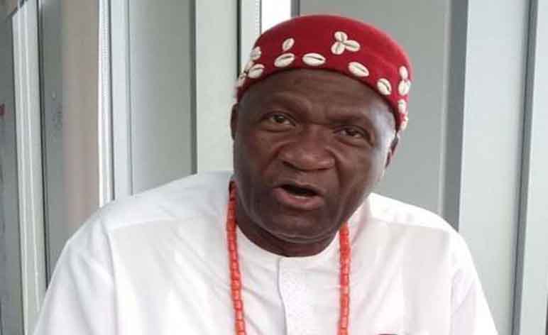 Nnia Nwodo reacts over non-inclusion of Igbos as Service Chief