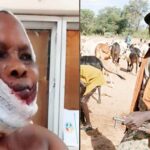 Suspected Fulani herdsmen shoot woman in the head in Ogun (Video)