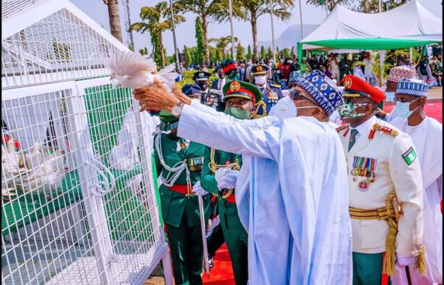Why pigeons Buhari released refused to fly – Presidency