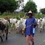 Tension as herdsmen kill three persons, set community ablaze in Ondo