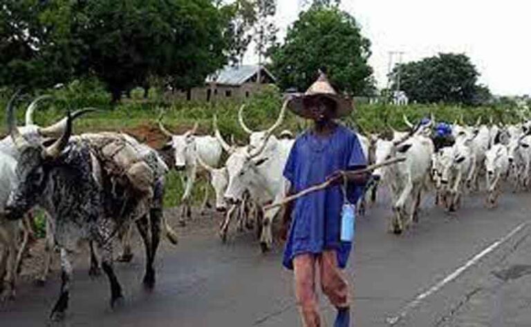 Tension as herdsmen kill three persons, set community ablaze in Ondo