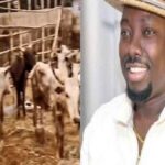 Obi Cubana receives 246 cows from friends ahead of his mum’s funeral