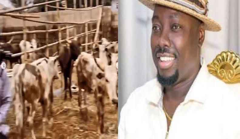 Obi Cubana receives 246 cows from friends ahead of his mum’s funeral