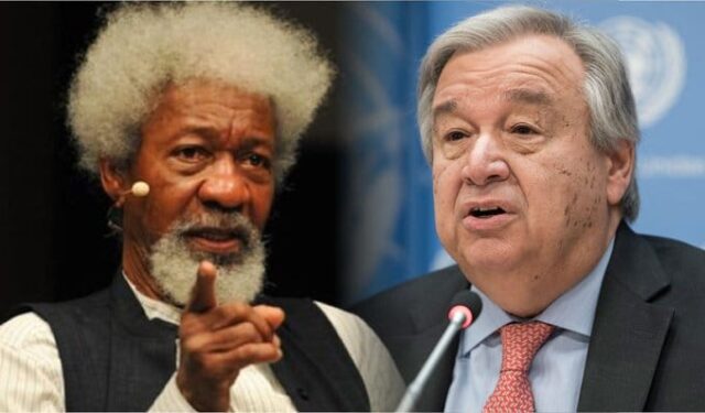 We’re working with UN to seize parts of Nigeria from Buhari’s control - Wole Soyinka