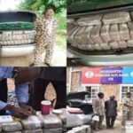 Ex-army officer, one other arrested with N7.5m worth of Indian hemp as troops bust drug syndicate in Kaduna