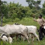 Lagos Assembly passes bills on open grazing ban and VAT