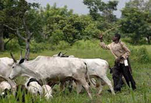 Lagos Assembly passes bills on open grazing ban and VAT