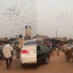 Naira-throwing Yahoo Boys arrested in Benin