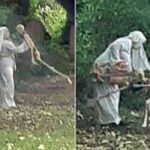 Woman dressed as nun spotted dancing with skeletons in a graveyard