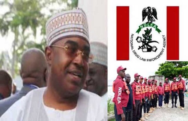 Introduce dr*g integrity test for all students — NDLEA tells tertiary institutions