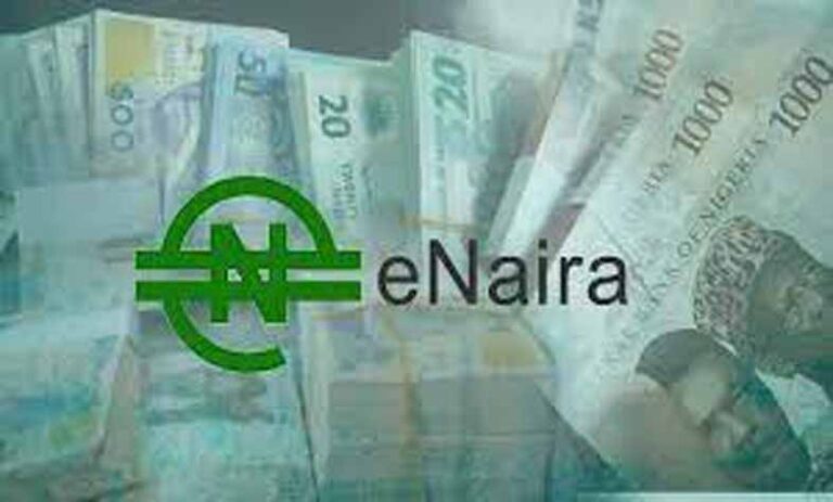 CBN's eNaira App Removed From Google Play Store After Series Of Complaints, Poor Rating