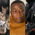 How DSS brought 3 herbalists, killed 5 cats to unravel 'Igboho's disappearance' – Aide 