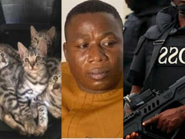 How DSS brought 3 herbalists, killed 5 cats to unravel 'Igboho's disappearance' – Aide 
