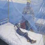 Senate rejects Health Ministry's Proposal to borrow N82 Billion to buy Mosquito Net