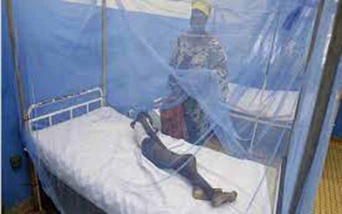 Senate rejects Health Ministry's Proposal to borrow N82 Billion to buy Mosquito Net