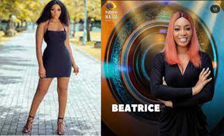 Why I didn’t have intimate relationship on BBNaija –Beatrice Nwaji