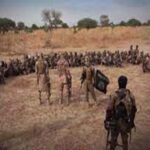 ISIS fighters from Libya, Syria in Nigeria as ISWAP plans fresh attacks