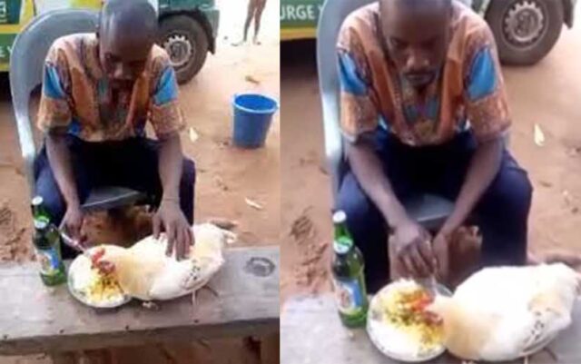 Shocking video of Nigerian man eating from the same plate with a hen