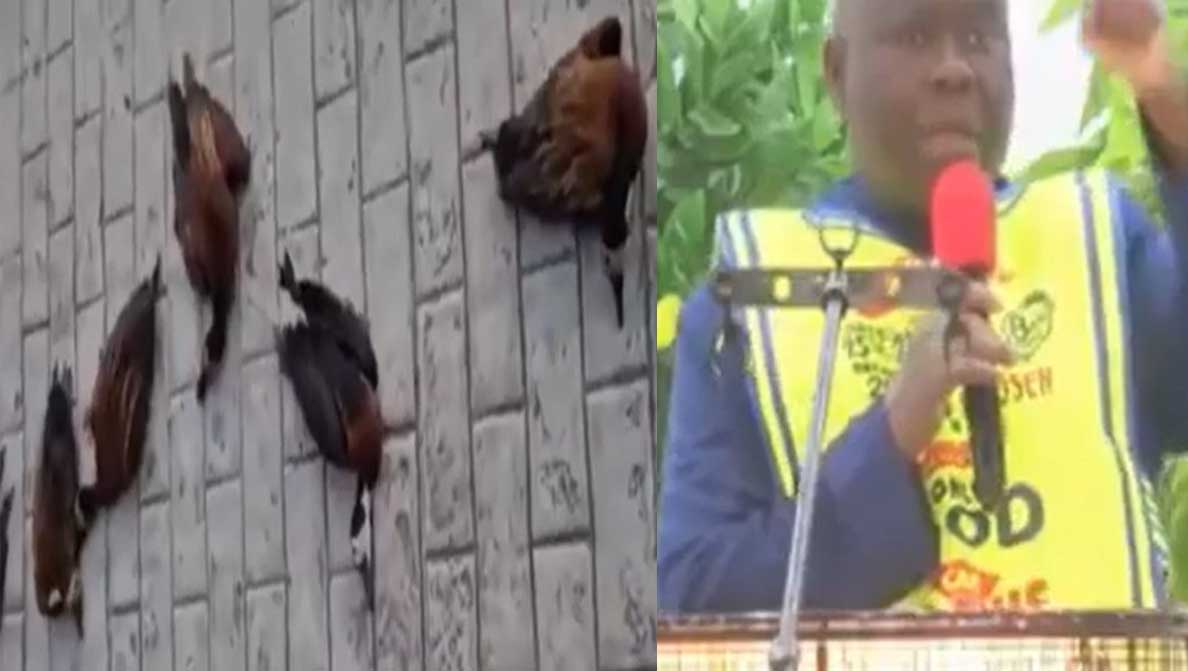 Lord’s Chosen members and their General Overseer, praise God as 6 big “strange” birds are found dead at the altar of the church’s headquarters in Lagos.