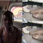 No student was turned into tubers of yam in Ibadan — Commissioner for Education