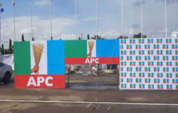 Cancel APC convention in the best interest of party, Nigeria's democracy - Diaspora Group