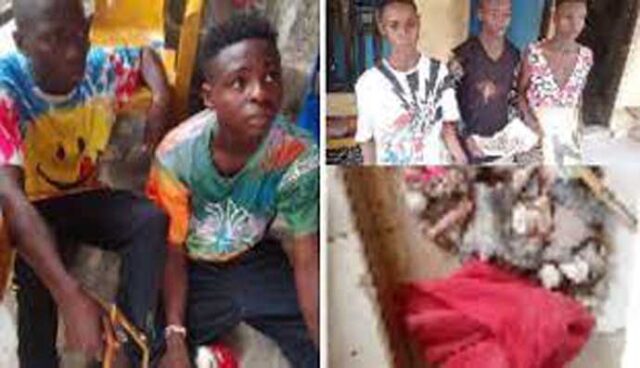 Teenagers arrested for attempting to use a 14-year-old girl for r!tuals In Bayelsa