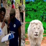 Yahaya The White Lion’ Movie Is To Put History On Record - Seun Oloketuyi