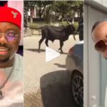 Obi Cubana gifts Tunde Ednut N5 million and six cows for his birthday