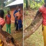 19-year-old Man Nailed to a tree for allegedly stealing a Radio 