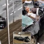 Elderly man survives after Russian tank crashed into his car in Kyiv, Ukraine (Video)