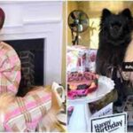 Dj Cuppy dogs gift Nigerian man N1million on their birthday