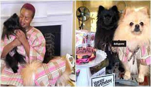 Dj Cuppy dogs gift Nigerian man N1million on their birthday