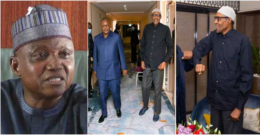 Buhari is healthier than most youths attacking him on health matters - Garba Shehu