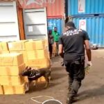 NDLEA intercepts 40,250kg Codeine worth N2b at Lagos port