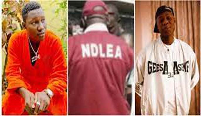 Why we arrested singers Zino and Mohbad — NDLEA