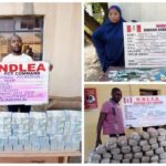 NDLEA intercepts fake $4.7million cash