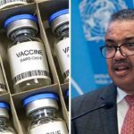 Nigeria, five other African countries to begin production of COVID-19 vaccines —WHO