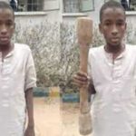 Teen boy arrested for using a pestle to sm@sh his relative to de@th after stealing her phones