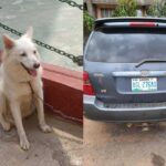 Lagos police intercept four armed r#bbers, recover stolen dog, others