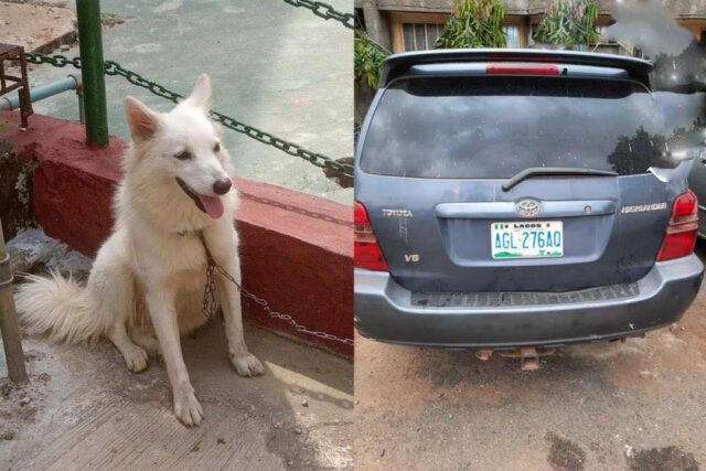 Lagos police intercept four armed r#bbers, recover stolen dog, others