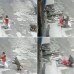 Monkey tries to kidnap girl in savage attack