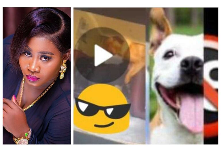 Girls sleeping with dogs: I’m ashamed, speechless and heartbroken – Actress Yetunde Bakare