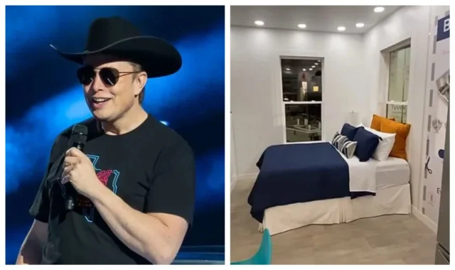 I’m homeless, I rotate through friends’ spare bedrooms — World’s richest man, Elon Musk