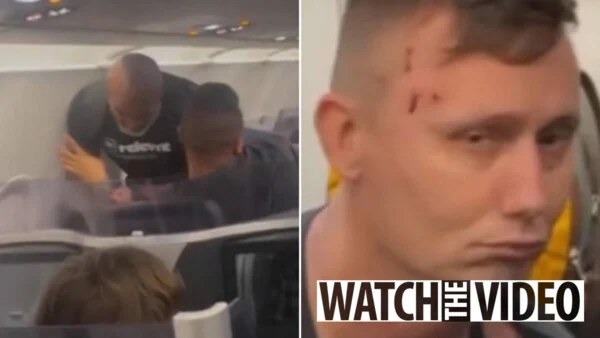 Mike Tyson punches man on Plane repeatedly